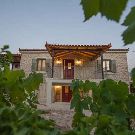 شقة Fotini'S House II ليغوريون المظهر الخارجي الصورة